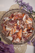 Load image into Gallery viewer, (1) Tumbled Mano De Lion Shell Piece