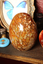 Load image into Gallery viewer, Mossy Carnelian Freeforms