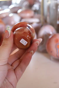 Toasty Peach Carnelian Mushie