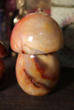 Load image into Gallery viewer, Carnelian Mushies