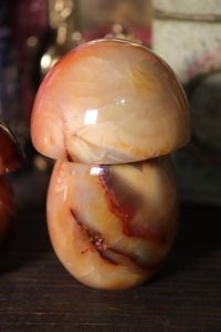 Carnelian Mushies