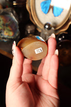 Load image into Gallery viewer, Caramel Carnelian Freeforms