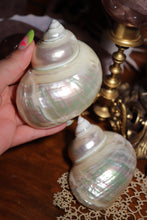 Load image into Gallery viewer, (1) Pearlized Turbo Burgess