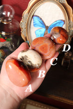 Load image into Gallery viewer, Funky Carnelian Palmstones