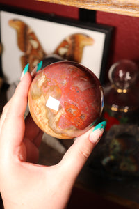 Colorful Petrified Wood Sphere