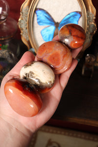 Funky Carnelian Palmstones