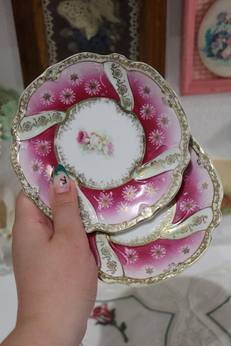 *Set of 4* Vintage Pink Floral Bavaria Plates