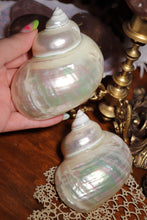 Load image into Gallery viewer, (1) Pearlized Turbo Burgess