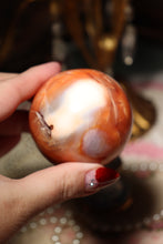 Load image into Gallery viewer, Unique Toasty Orca x Carnelian Sphere
