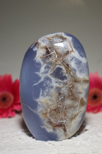 Dragon Egg Blue Chalcedony Freeform