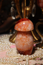Load image into Gallery viewer, Quartzy Carnelian Mushie