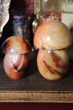 Load image into Gallery viewer, Carnelian Mushies