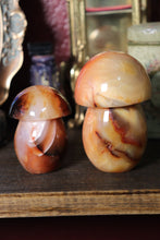 Load image into Gallery viewer, Carnelian Mushies