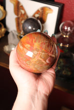 Load image into Gallery viewer, Large Petrified Wood Sphere