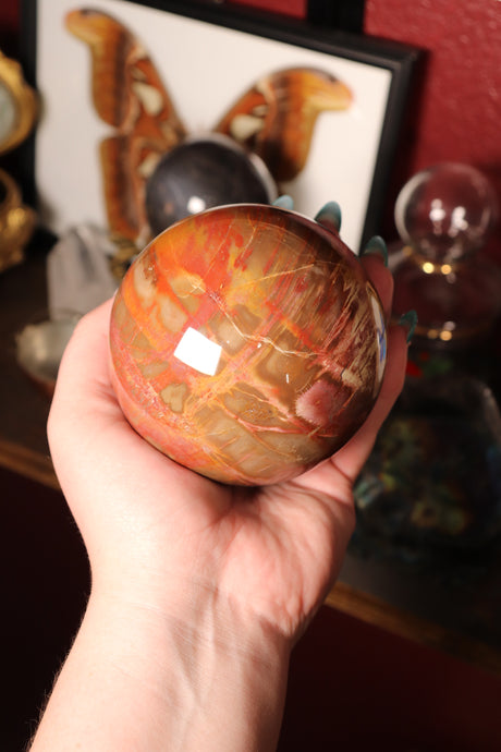 Large Petrified Wood Sphere