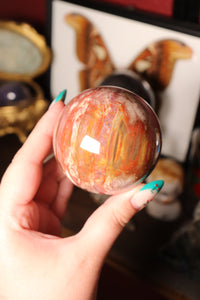 Colorful Petrified Wood Sphere