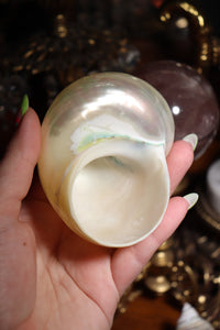 (1) Pearlized Turbo Burgess