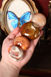 Unique Carnelian Palmstones