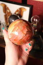 Load image into Gallery viewer, Large Petrified Wood Sphere