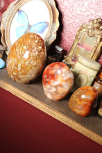 Load image into Gallery viewer, Mossy Carnelian Freeforms