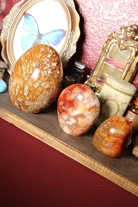 Mossy Carnelian Freeforms