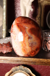 Charlie Carnelian Freeform with Quartz