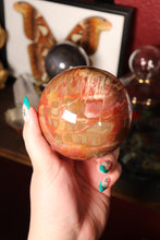 Load image into Gallery viewer, Large Petrified Wood Sphere