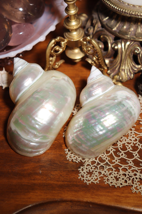 (1) Pearlized Turbo Burgess