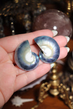 Load image into Gallery viewer, (1) Half-Cut Blue Nautilus Pair