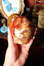 Load image into Gallery viewer, Mossy Carnelian Freeforms