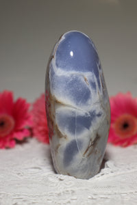 Dragon Egg Blue Chalcedony Freeform