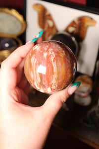 Colorful Petrified Wood Sphere