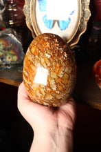 Load image into Gallery viewer, Mossy Carnelian Freeforms