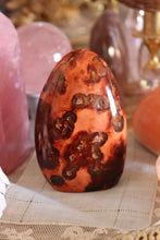 Load image into Gallery viewer, Moody Toasty Carnelian Freeform with Mossy inclusions