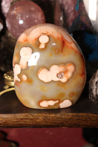 “Flowery” Carnelian Freeform with Quartz