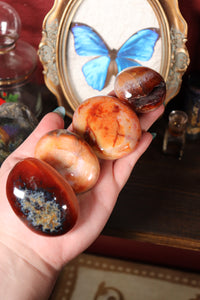 Funky Carnelian Palmstones