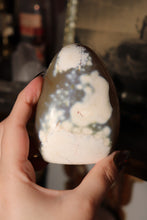 Load image into Gallery viewer, “Whale Eye” Orca Agate Freeform