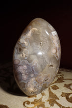 Load image into Gallery viewer, 12.3lbs Glittery Druzy Flower Agate Freeform with Quartz