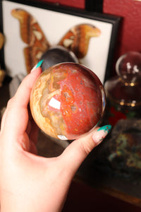 Colorful Petrified Wood Sphere