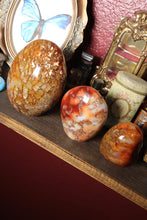 Load image into Gallery viewer, Mossy Carnelian Freeforms
