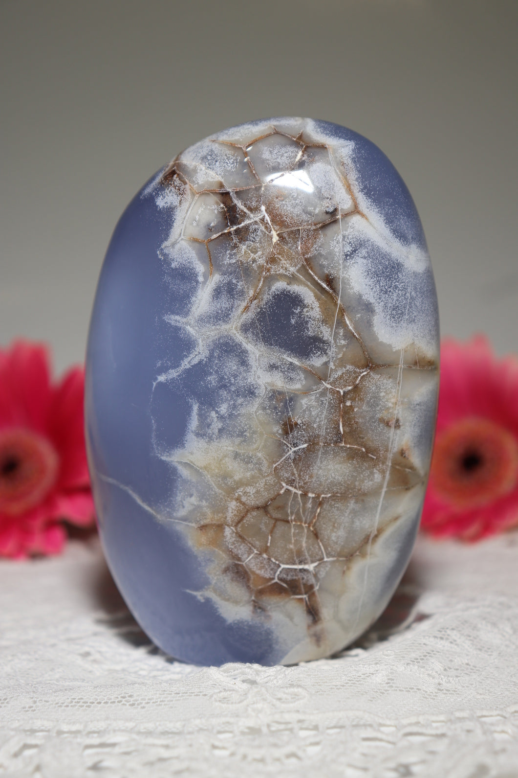 Dragon Egg Blue Chalcedony Freeform