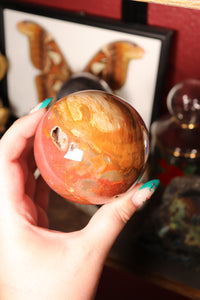 Colorful Petrified Wood Sphere