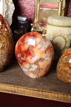 Load image into Gallery viewer, Mossy Carnelian Freeforms