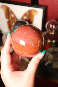 Colorful Petrified Wood Sphere