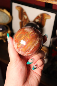 Colorful Petrified Wood Sphere