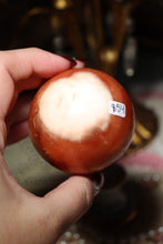 Load image into Gallery viewer, Unique Toasty Orca x Carnelian Sphere