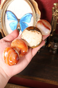 Unique Carnelian Palmstones