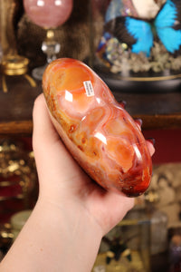 XL Mossy Carnelian Heart