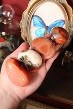 Load image into Gallery viewer, Funky Carnelian Palmstones