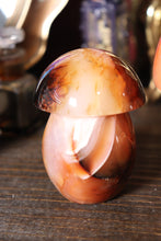 Load image into Gallery viewer, Carnelian Mushies